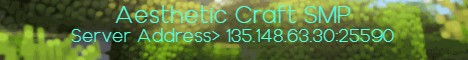 Aesthetic Craft SMP Minecraft Server banner