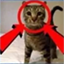 Alfheim Anarchy Minecraft Server Icon