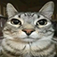 Anikuro Minecraft Server Icon