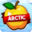 ArcticMC NA Minecraft Server Icon