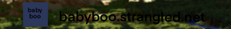 BabyBoo Minecraft Server banner