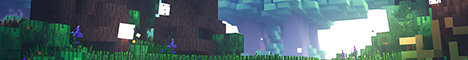 Big Bean Burrito Minecraft Server banner