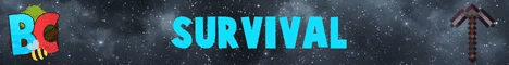 Binstercraft Minecraft Server banner