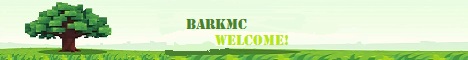 BladeForge Minecraft Server banner