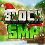 BlockSMP Minecraft Server Icon