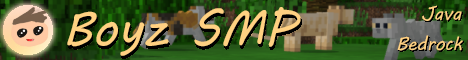 Boyz SMP Minecraft Server banner