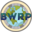 Broken World Roleplay Minecraft Server Icon