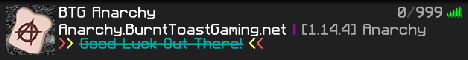 BTG Anarchy Minecraft Server banner
