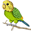 BudgieNet Minecraft Server Icon