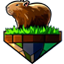 CapybaraCraft Minecraft Server Icon