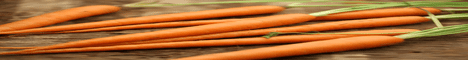 Carrat Minecraft Server banner