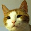 CatsCraft Minecraft Server Icon