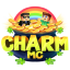 CharmMC Minecraft Server Icon