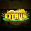 Citrus Minecraft Server Icon