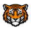 Craftity Minecraft Server Icon