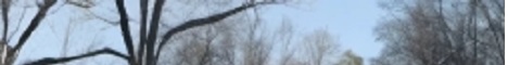 CraftSA Minecraft Server banner