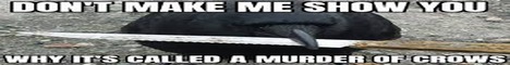 CrowCraft Minecraft Server banner