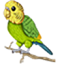 CuguliMC Minecraft Server Icon