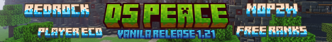 DSPeace Minecraft Server banner