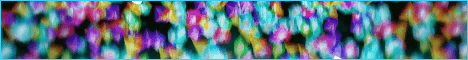 ElytraMC Minecraft Server banner