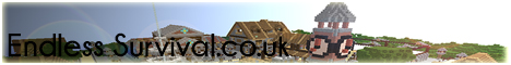 EndlessSurvival Minecraft Server banner