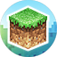 FamilyMC Survival Minecraft Server Icon