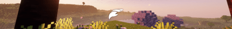 FelipeMC Minecraft Server banner