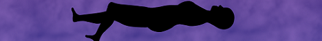 Fizix Minecraft Server banner