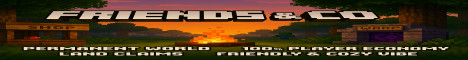 Friends & Co Minecraft Server banner