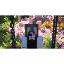 HabiMC Minecraft Server Icon
