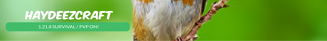 HaydeezCraft Minecraft Server banner