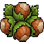 Hazelnut Network Minecraft Server Icon