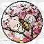 HoneyBlossomSMP Minecraft Server Icon