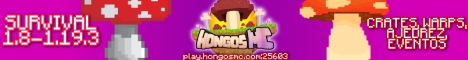 HongosMC Minecraft Server banner