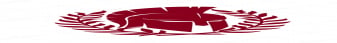 Imperio Latino Network Minecraft Server banner