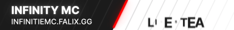 infinity mc Minecraft Server banner