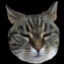 KoppaMC Minecraft Server Icon