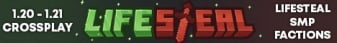 Lifesteal Network Minecraft Server banner