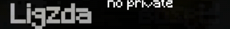 Ligzda Minecraft Server banner