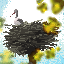 Ligzda Minecraft Server Icon