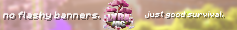 LyraMC Minecraft Server banner