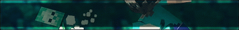 Mana Meta Minecraft Server banner