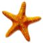 MC Beach Club Minecraft Server Icon