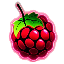 MCRaspi.com Minecraft Server Icon
