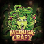 Medusa Craft Minecraft Server Icon