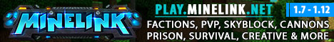 Minelink Network Minecraft Server banner