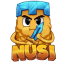 NUSI Minecraft Server Icon