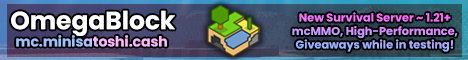 OmegaBlock Minecraft Server banner