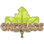 One Peace Minecraft Server Icon