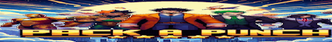 PackAPunch Minecraft Server banner
